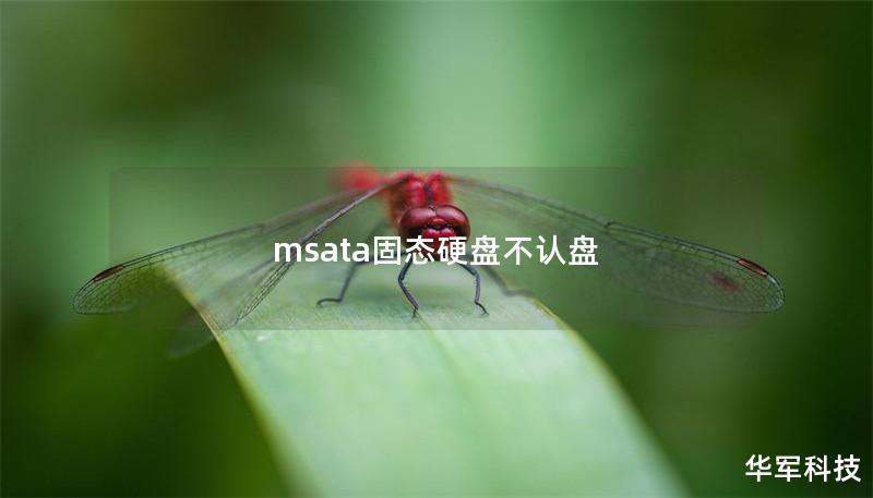 msata固态硬盘不认盘