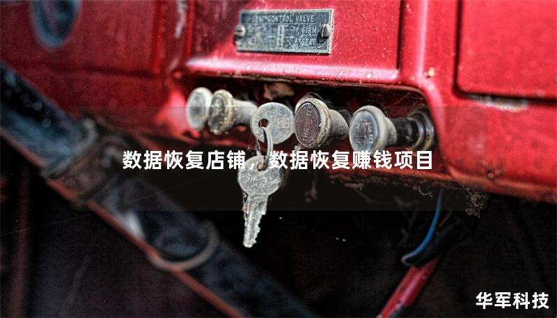 数据恢复店铺,数据恢复赚钱项目 数据恢复店铺,数据恢复赚钱项目