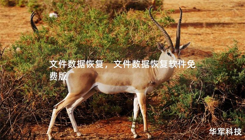 文件数据恢复,文件数据恢复软件免费版 文件数据恢复,文件数据恢复软件免费版