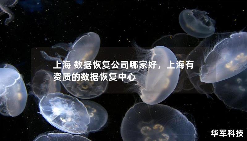 上海 数据恢复公司哪家好，上海有资质的数据恢复中心