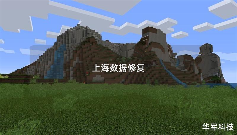 上海数据修复 上海数据修复