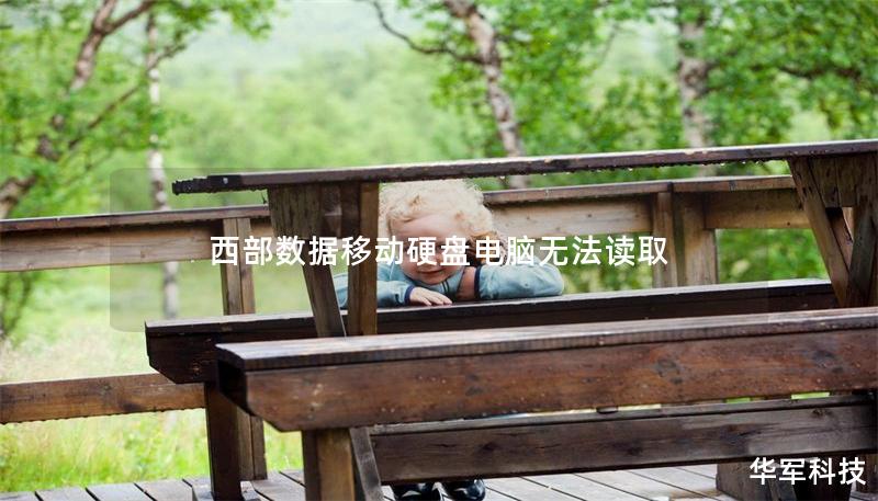 西部数据移动硬盘电脑无法读取