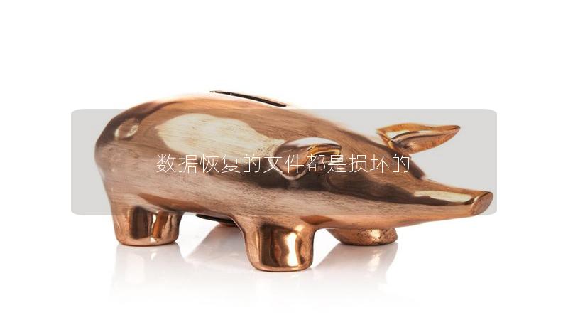 数据恢复的文件都是损坏的