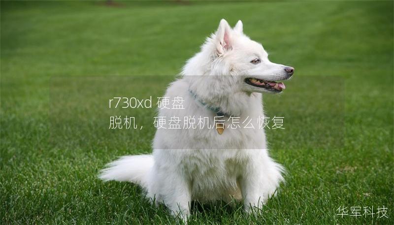 r730xd 硬盘 脱机，硬盘脱机后怎么恢复