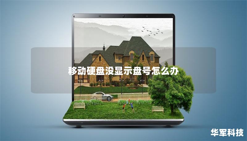 移动硬盘没显示盘号怎么办