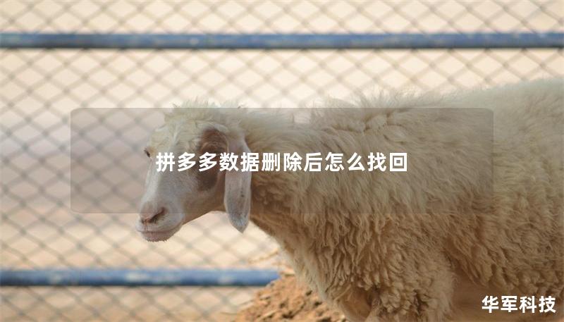 拼多多数据删除后怎么找回 拼多多数据删除后怎么找回