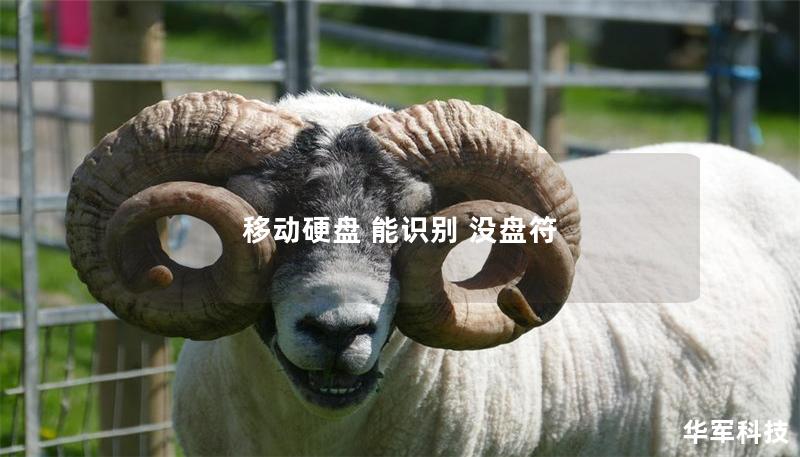 移动硬盘 能识别 没盘符