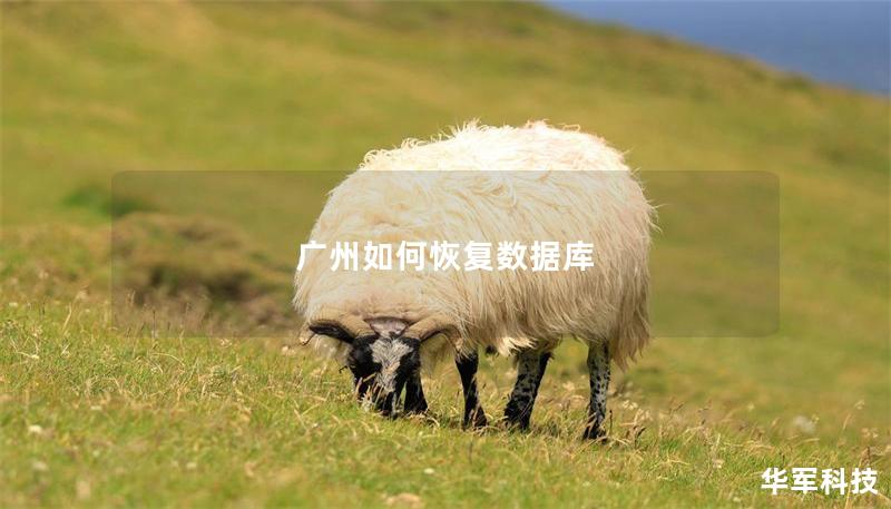 广州如何恢复数据库