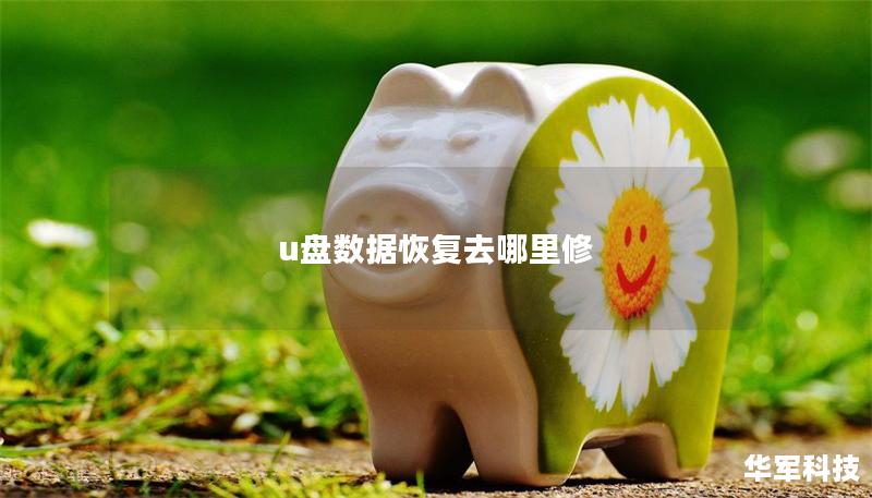u盘数据恢复去哪里修 u盘数据恢复去哪里修