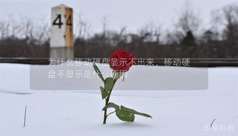 为什么移动硬盘显示不出来，移动硬盘不显示是什么原因