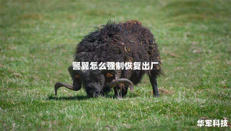 警翼怎么强制恢复出厂 警翼怎么强制恢复出厂