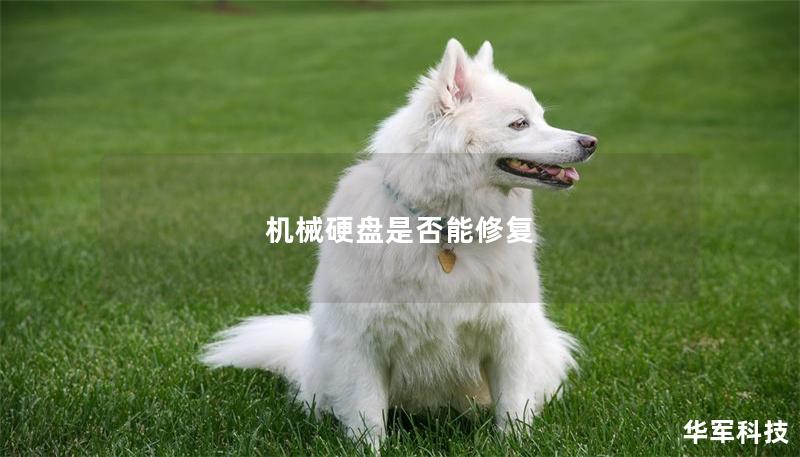 机械硬盘是否能修复