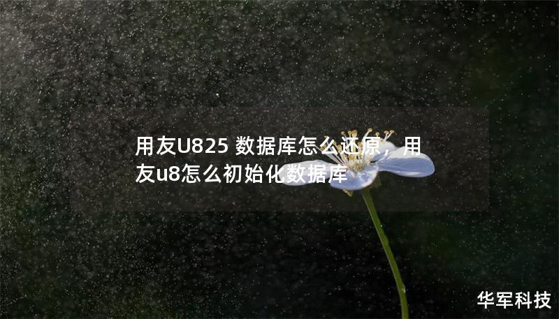 用友U825 数据库怎么还原，用友u8怎么初始化数据库