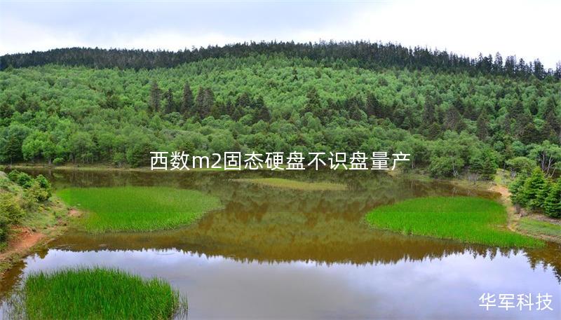 西数m2固态硬盘不识盘量产 西数m2固态硬盘不识盘量产