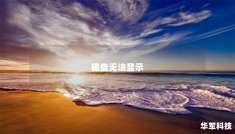 磁盘无法显示