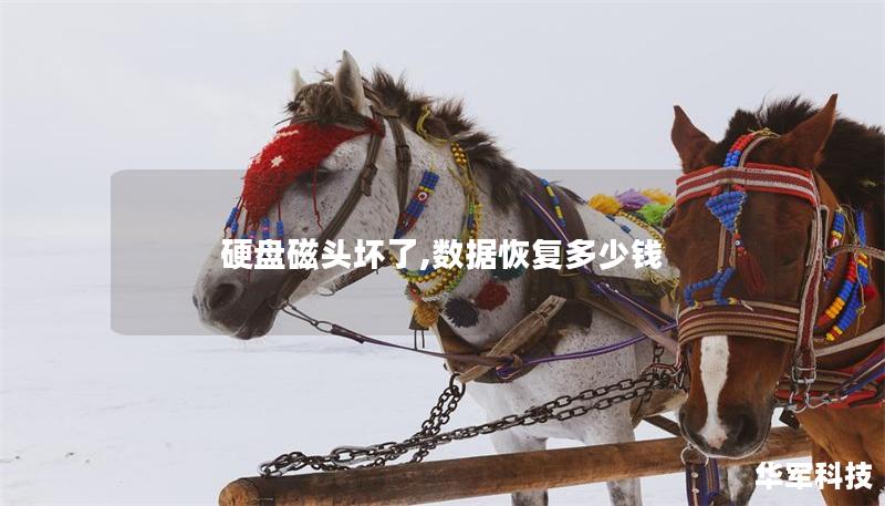 硬盘磁头坏了,数据恢复多少钱 硬盘磁头坏了,数据恢复多少钱