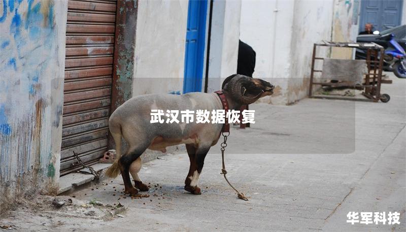 武汉市数据恢复 武汉市数据恢复