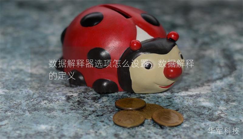 数据解释器选项怎么设置，数据解释的定义