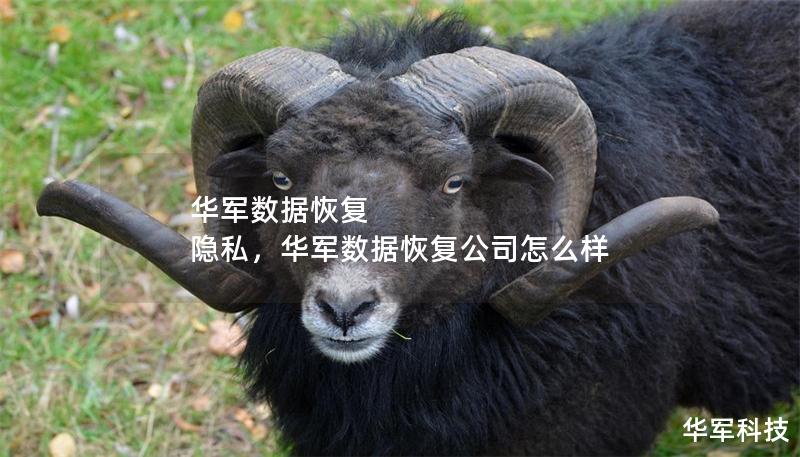 技王数据恢复 隐私,技王数据恢复公司怎么样 技王数据恢复 隐私,技王数据恢复公司怎么样